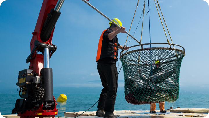 comercial-fisherman_720